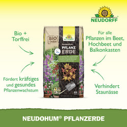 4005240009963 Sprechende Bilder Bild 2