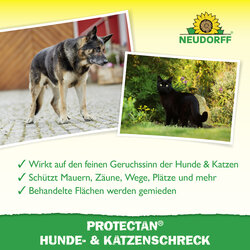 4005240030684 Sprechende Bilder Bild 4