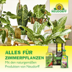 4005240003183 Sprechende Bilder Bild 8