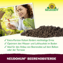 4005240009994 Sprechende Bilder Bild 4