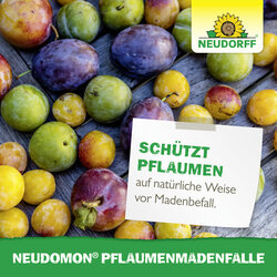4005240005408 Sprechende Bilder Bild 6