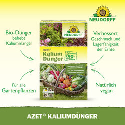 4005240023532 Sprechende Bilder Bild 2