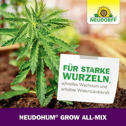 4005240025864 Sprechende Bilder Bild 6