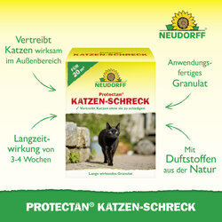4005240095058 Sprechende Bilder Bild 2