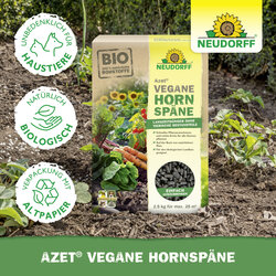 4005240025772 Sprechende Bilder Bild 5