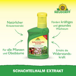 4005240025833 Sprechende Bilder Bild 2