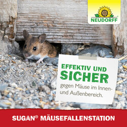 4005240033883 Sprechende Bilder Bild 7