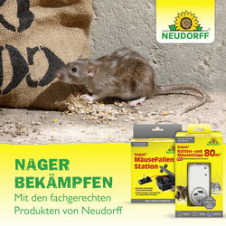 4005240020722 Sprechende Bilder Bild 8