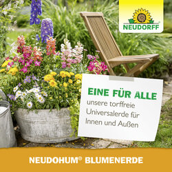 4005240009987 Sprechende Bilder Bild 7