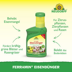 4005240025826 Sprechende Bilder Bild 2