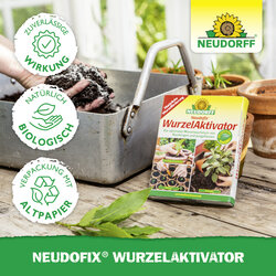4005240002636 Sprechende Bilder Bild 5