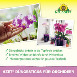 4005240030615 Sprechende Bilder Bild 4