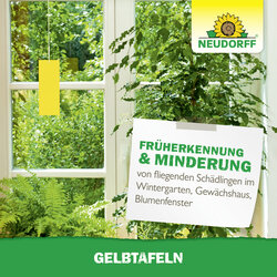 4005240003220 Sprechende Bilder Bild 7