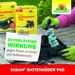 4005240030257 Sprechende Bilder Bild 6