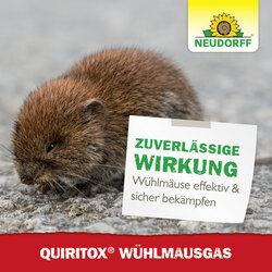 4005240004746 Sprechende Bilder Bild 7