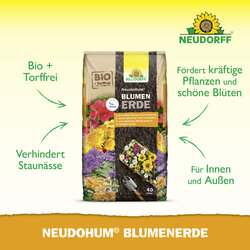 4005240009987 Sprechende Bilder Bild 2