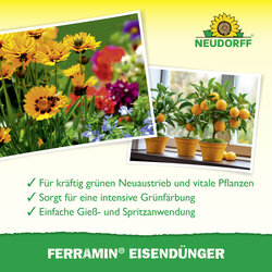 4005240025826 Sprechende Bilder Bild 4