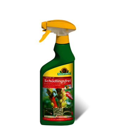 Spruzit AF Schädlingsfrei