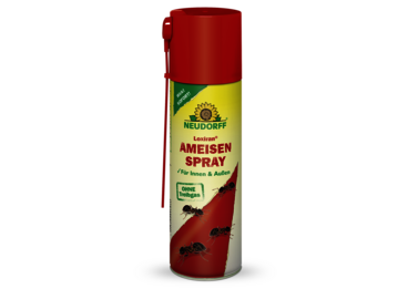 Loxiran AmeisenSpray