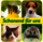 AT - schonend für uns 4 Tiere