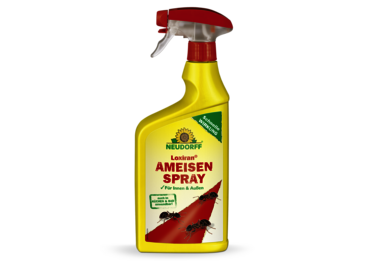 Loxiran AF AmeisenSpray