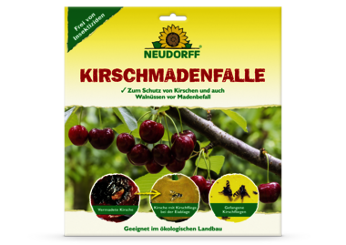 KirschmadenFalle