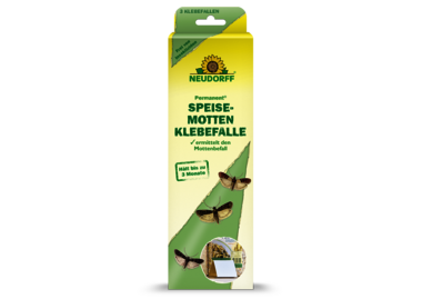 Permanent SpeisemottenKlebefalle